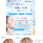 リ・セル　炭酸水素エステキャンペーン