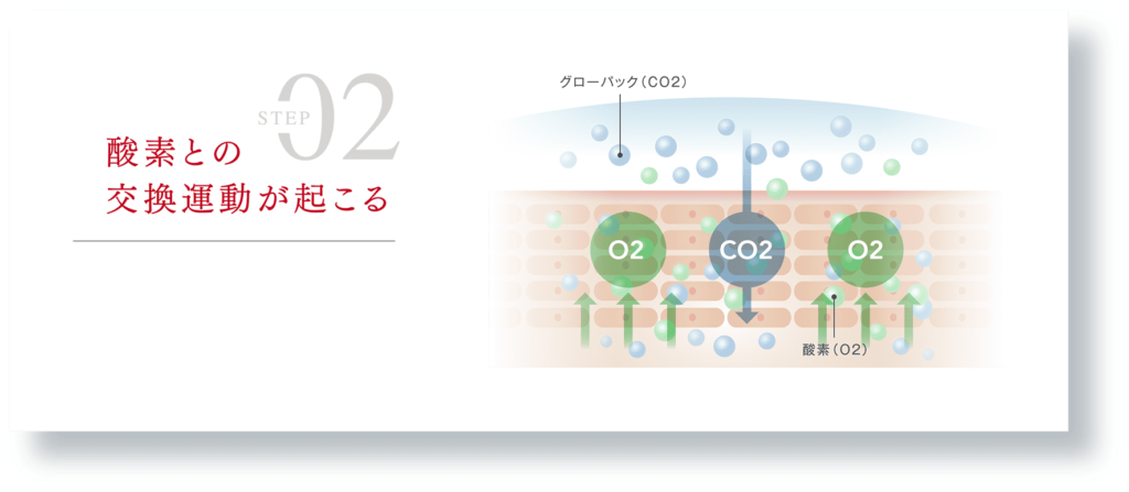 エニシーグローパック